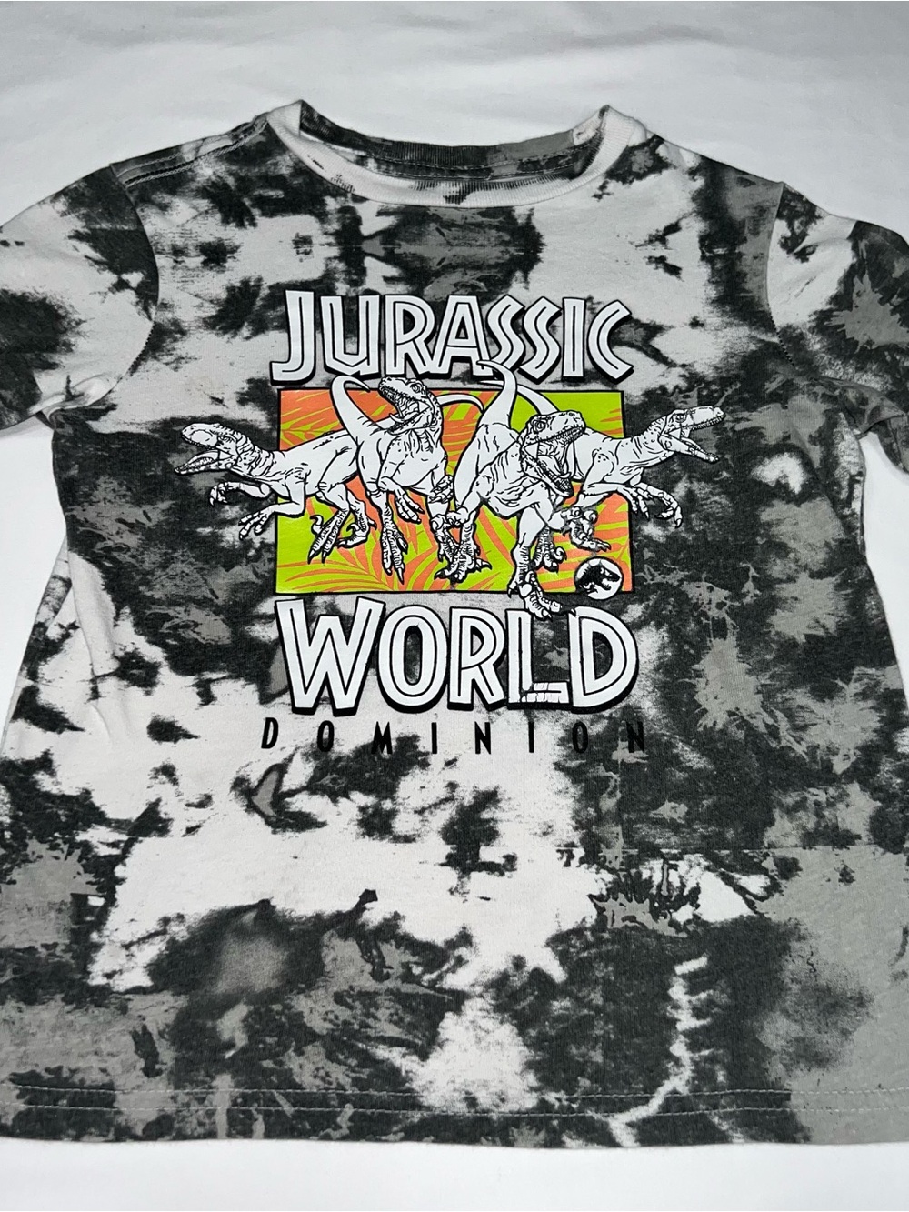 Boys Jurassic World Graphic Tee